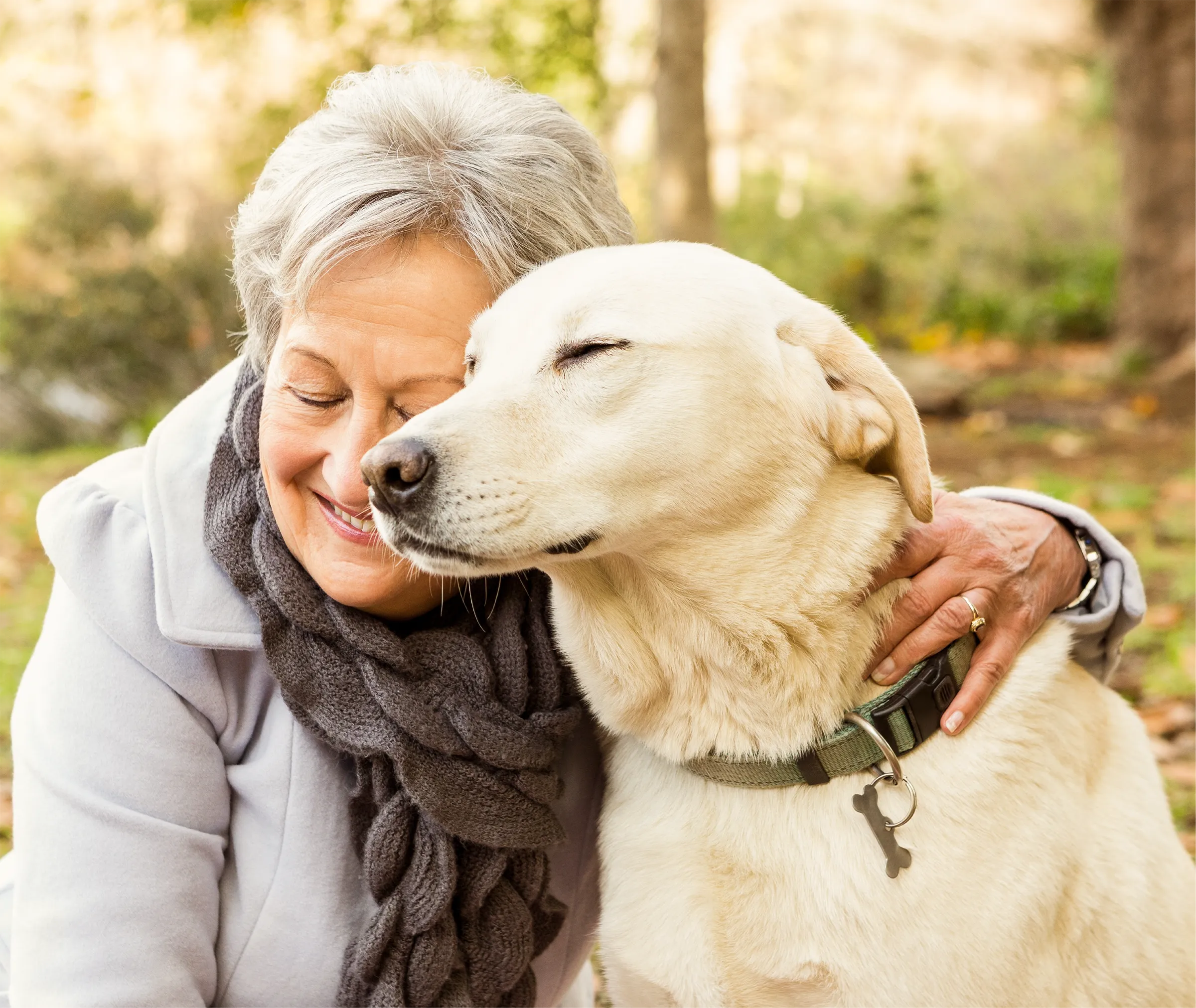 senior woman hugging yellow lab