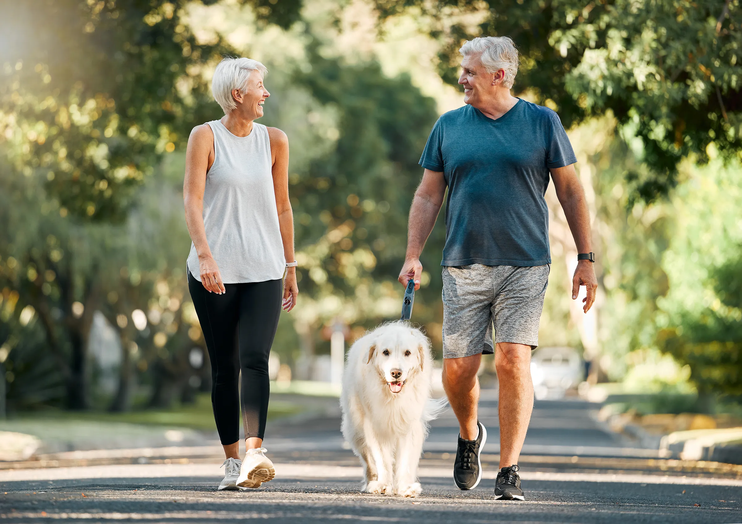 senior couple walking golden retriever