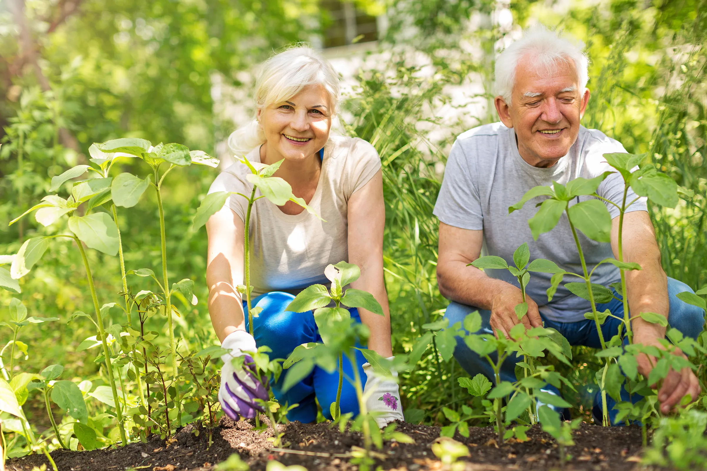 senior woman gardening